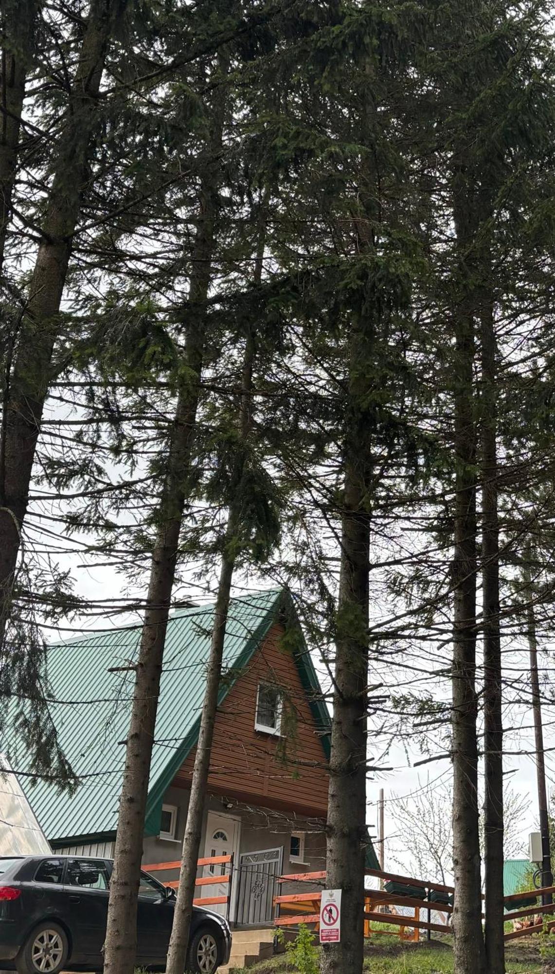 Holiday Home ,,Lazar" Zabljak  Exterior photo